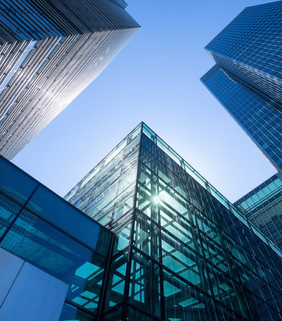 Domestic Company BTG