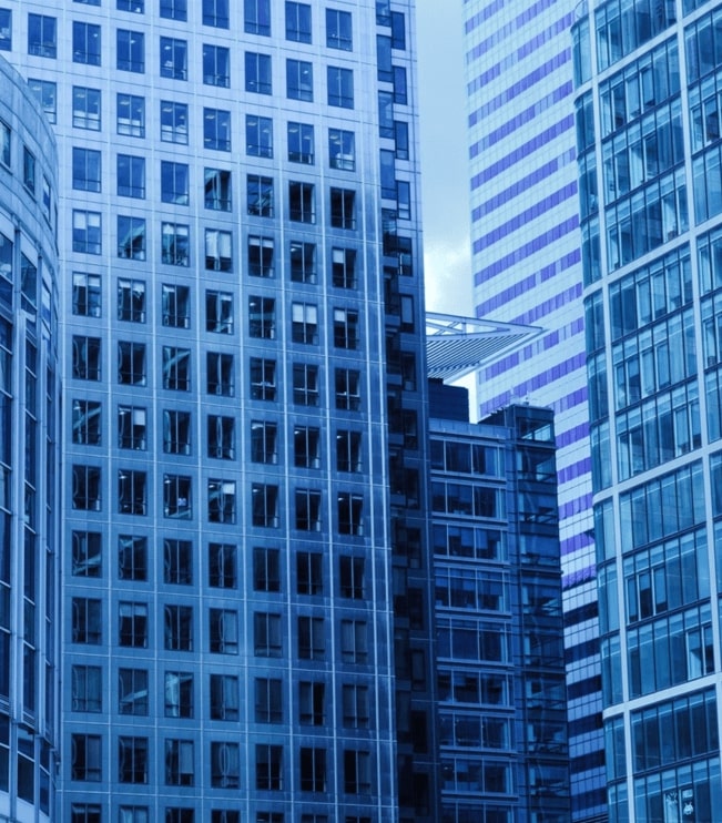 Mauritius Foundation BTG