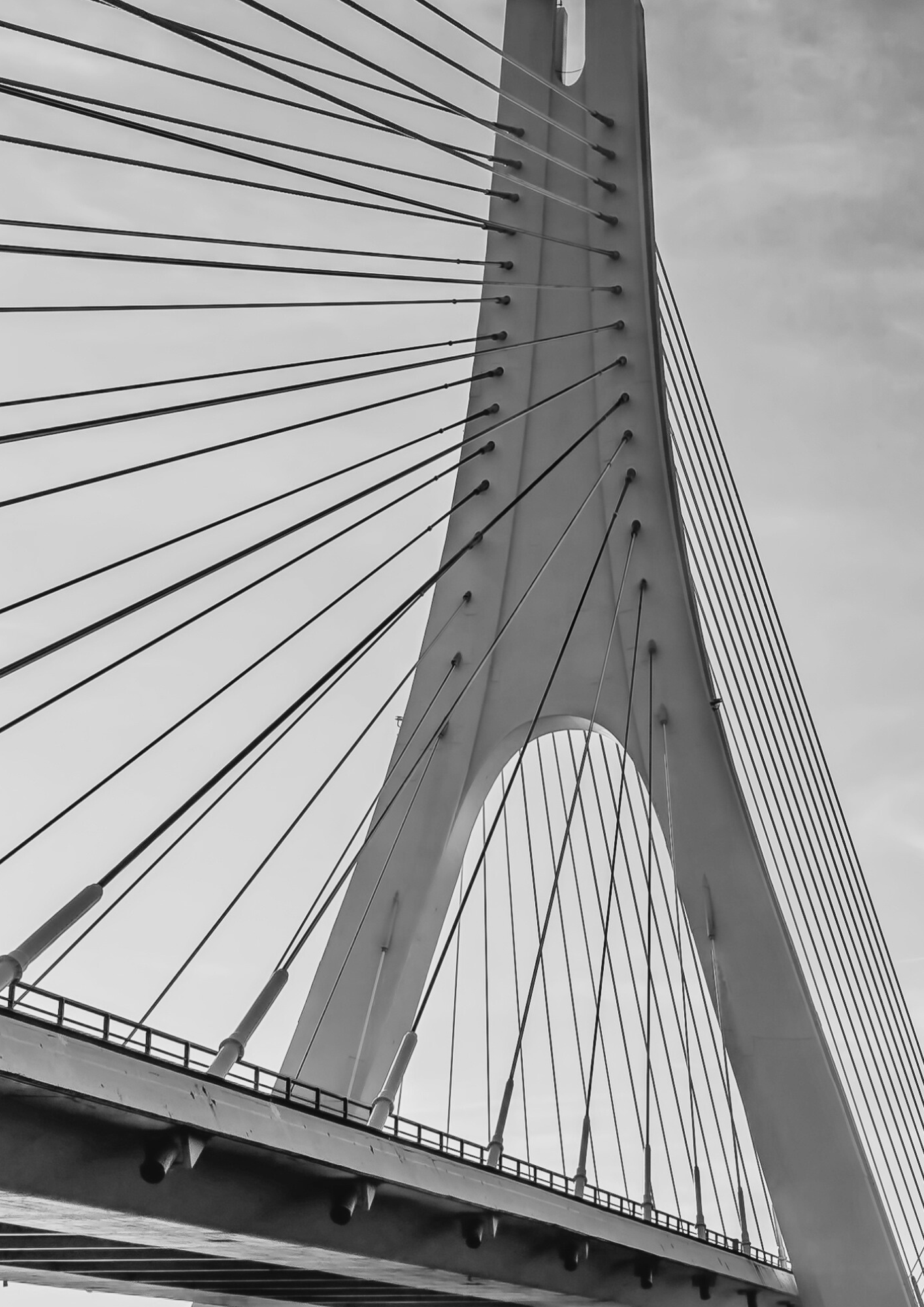 Discretionary Trust Other Services BTG