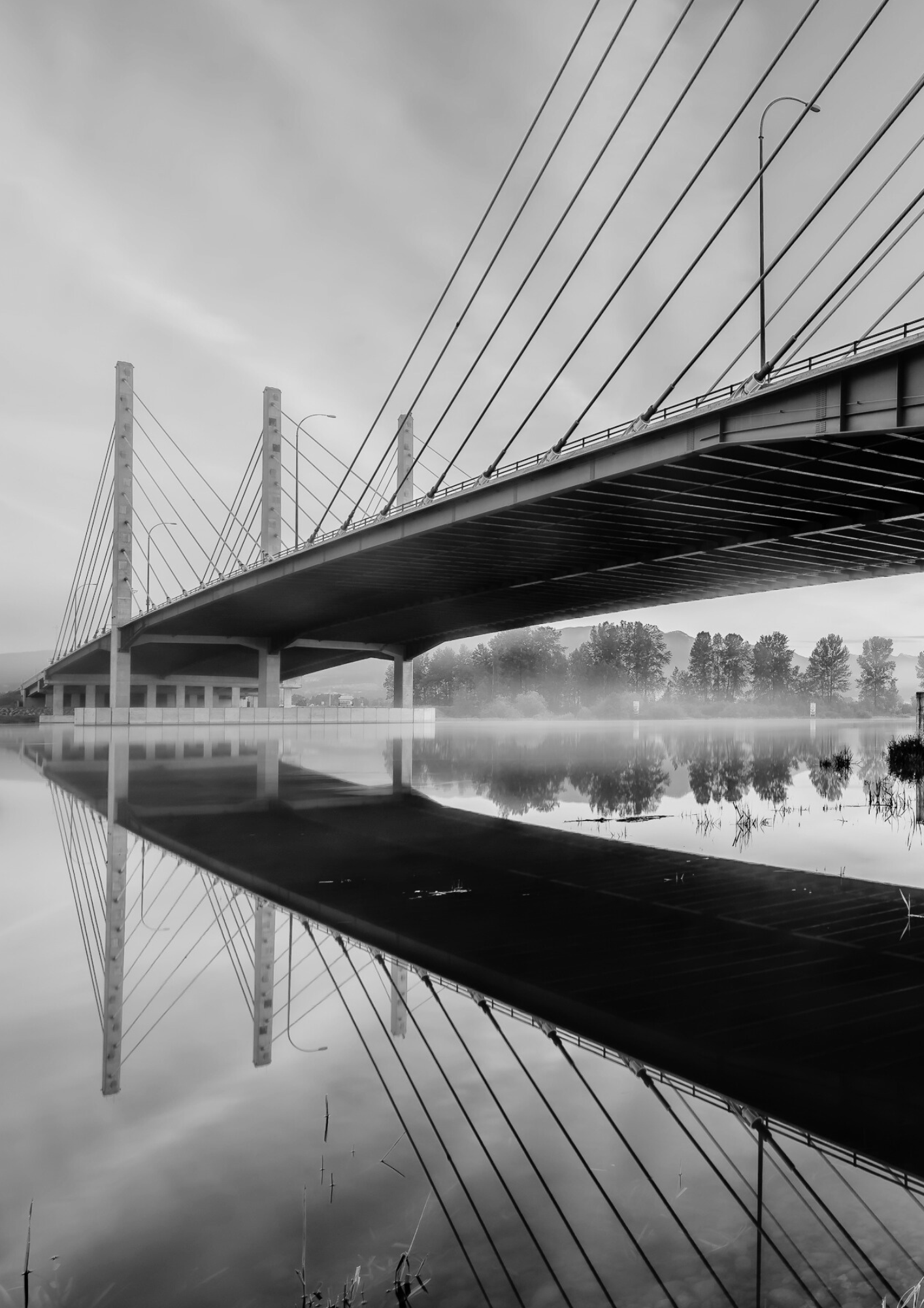 Domestic Company Other Services BTG