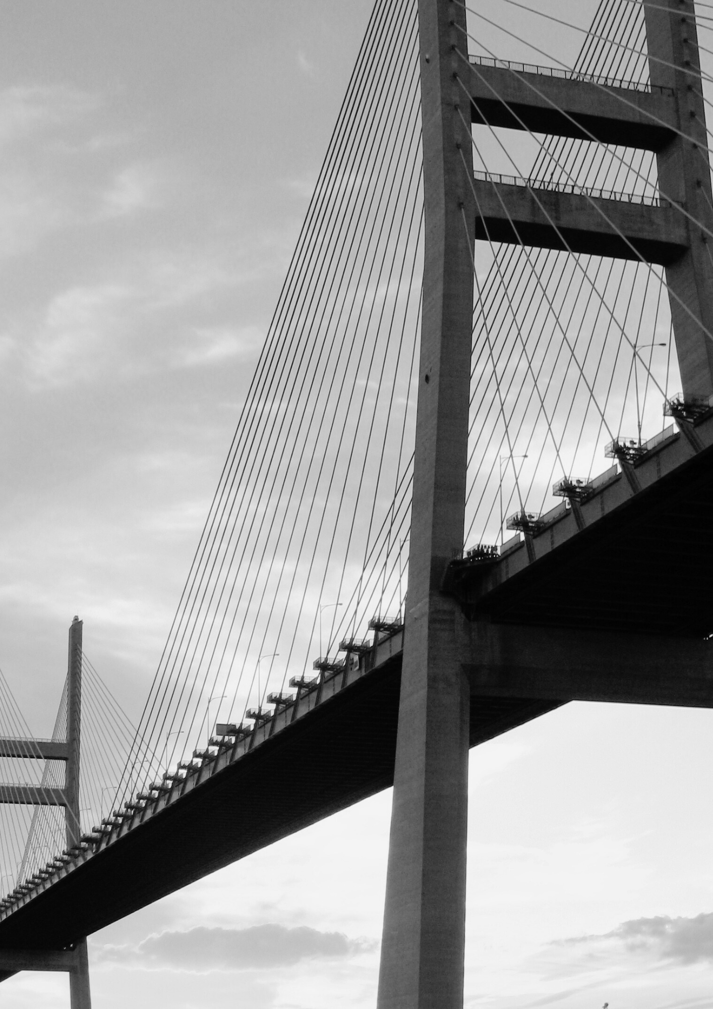 Mauritius Foundation Other Services BTG